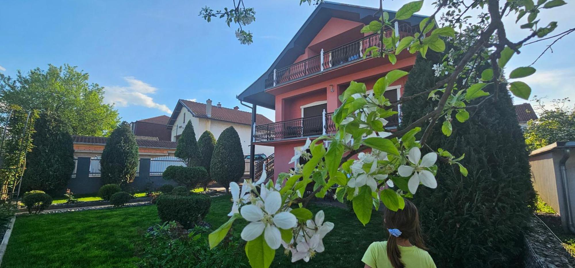 Guest House Lona Golubac Ngoại thất bức ảnh